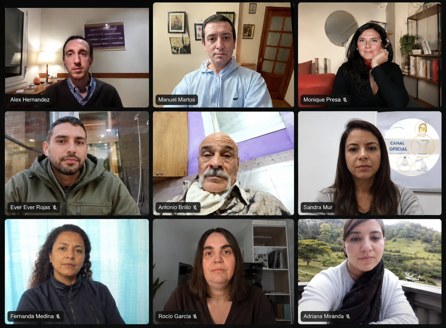 Miembros de la comunidad en una videollamada de Zoom